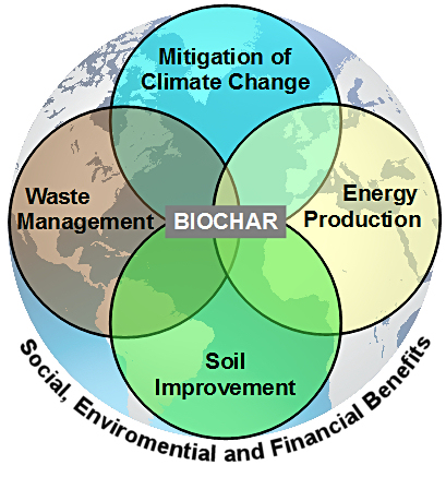Biochar image