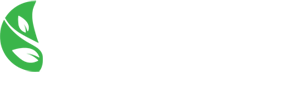 The Biochar Revolution Logo